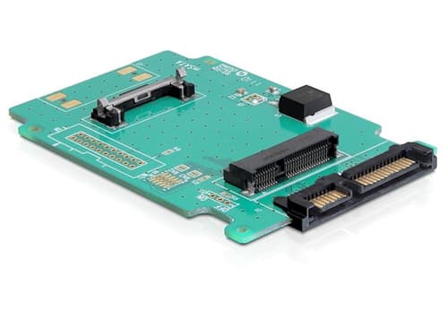 Delock Converter Sata 22 Pin > Msata