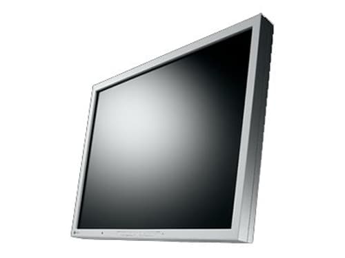 Eizo Flexscan S2133-gy 1600 X 1200