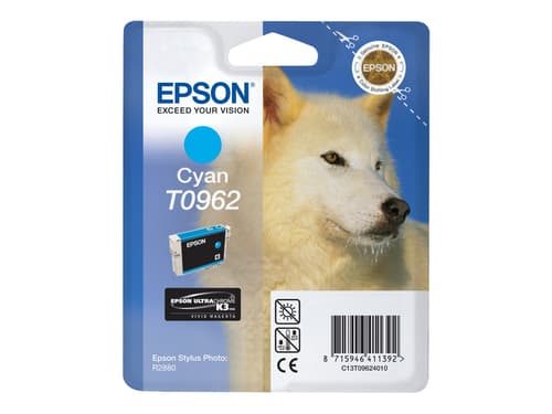 Epson Muste Syaani Stylus Kuva R2880