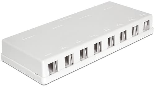 Delock 8 Port Keystone Box