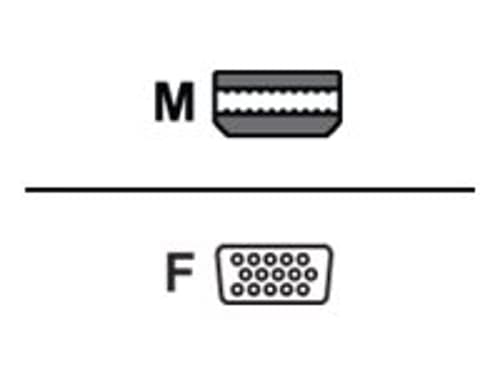 Asus Display Adapter