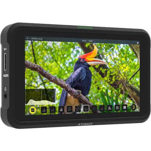 Atomos Shinobi Hdmi