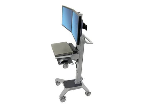 Ergotron Neo-flex Dual Wideview Workspace
