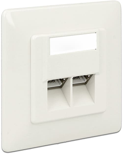 Delock Network Wall Outlet 2xrj45 Lsa Cat 6