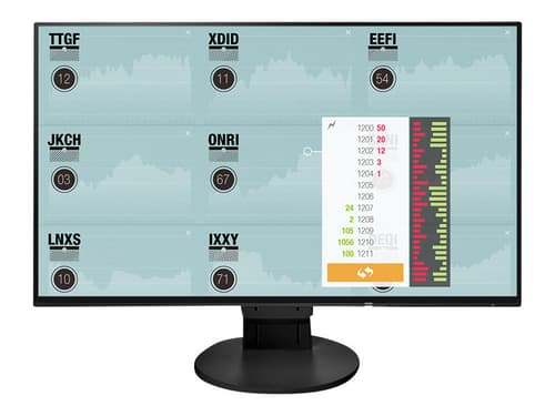 Eizo Flexscan Ev2451 1920 X 1080