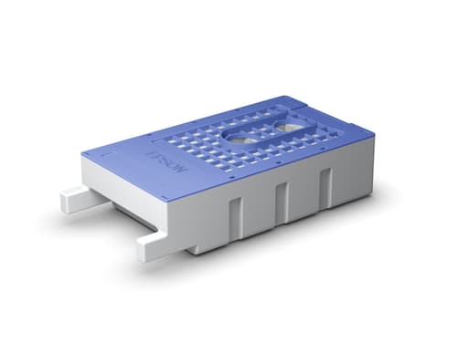 Epson T619300