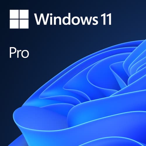 Microsoft Windows 11 Professional 64-bit Eng Dvd #oem