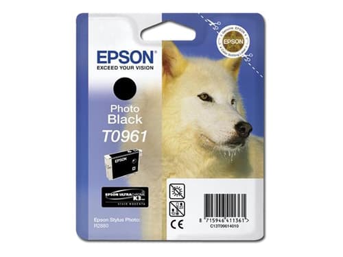 Epson Muste Kuva Musta - Stylus Kuva R2880