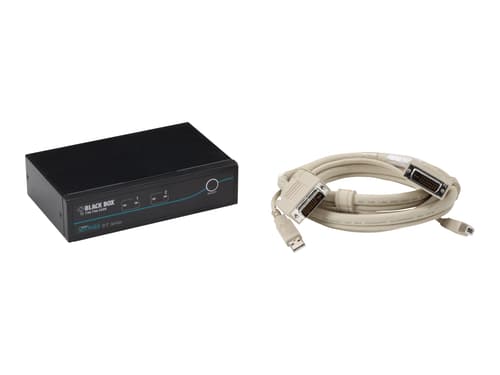 Black Box Dt Kvm Switch (incl. Cables) - Dvi-d Usb 2-port
