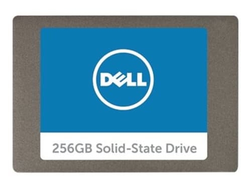 Dell Puolijohdeasema 0.25tt Sata