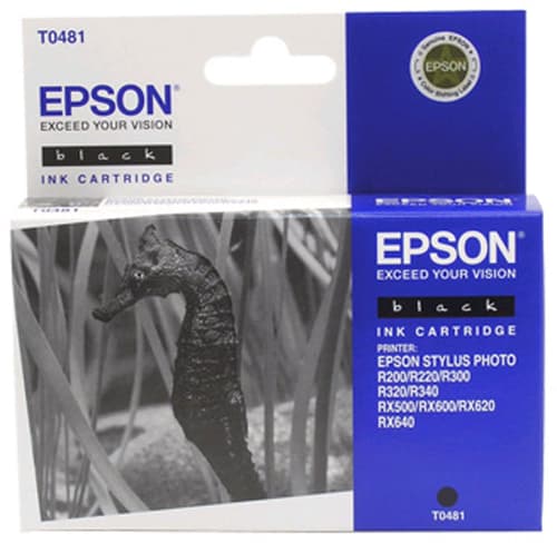 Epson Muste Musta T048 - R300