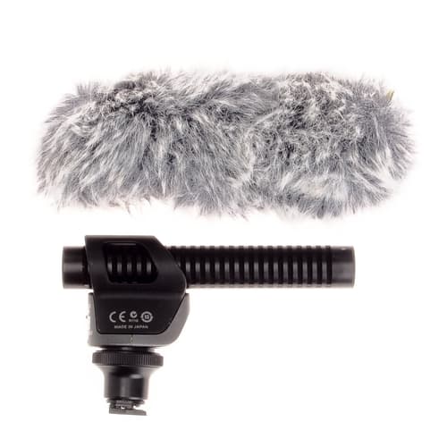 Canon Dm 100