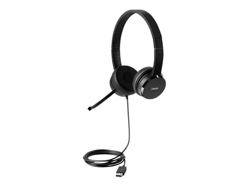 Lenovo 100 Usb-stereoheadset