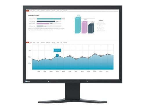 Eizo Flexscan S2133-bk 1600 X 1200
